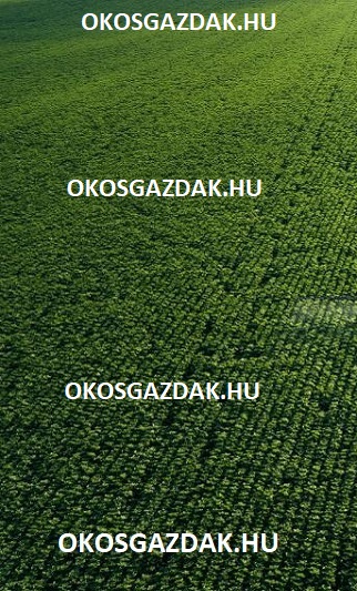 Banner esemény kicsi