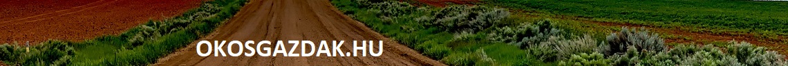 Banner esemény közép